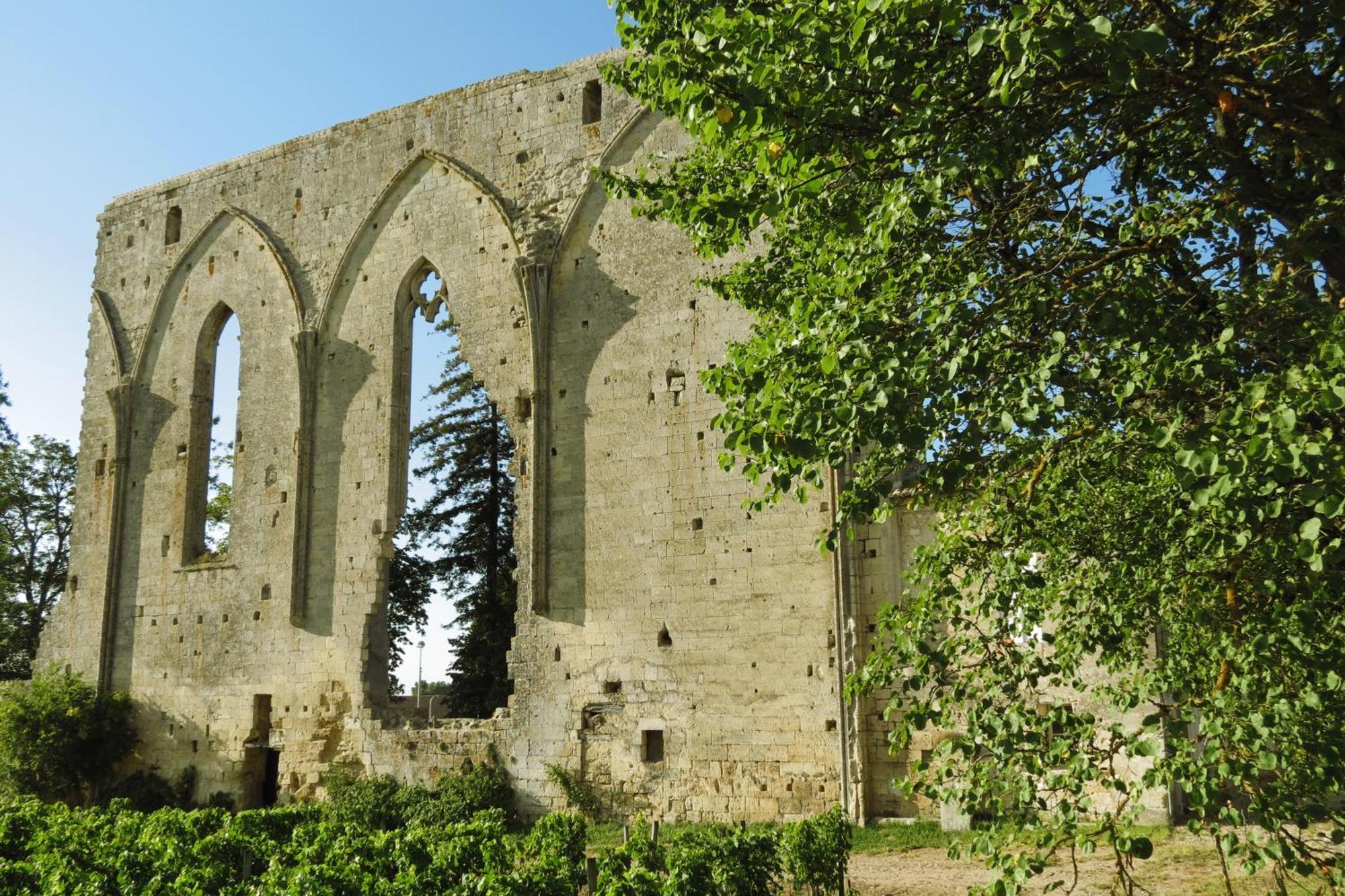 Bleu Raisin Bed & Breakfast Les Salles-de-Castillon Exterior foto