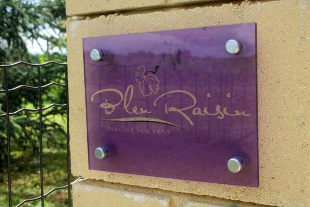 Bleu Raisin Bed & Breakfast Les Salles-de-Castillon Exterior foto