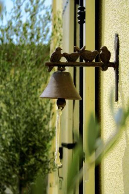 Bleu Raisin Bed & Breakfast Les Salles-de-Castillon Exterior foto