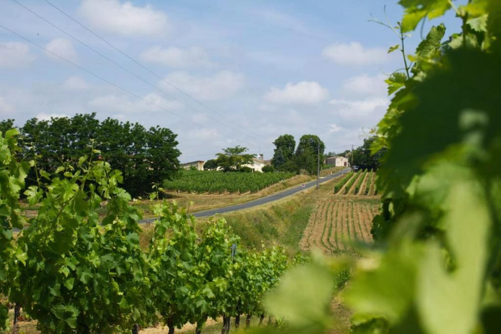 Bleu Raisin Bed & Breakfast Les Salles-de-Castillon Exterior foto